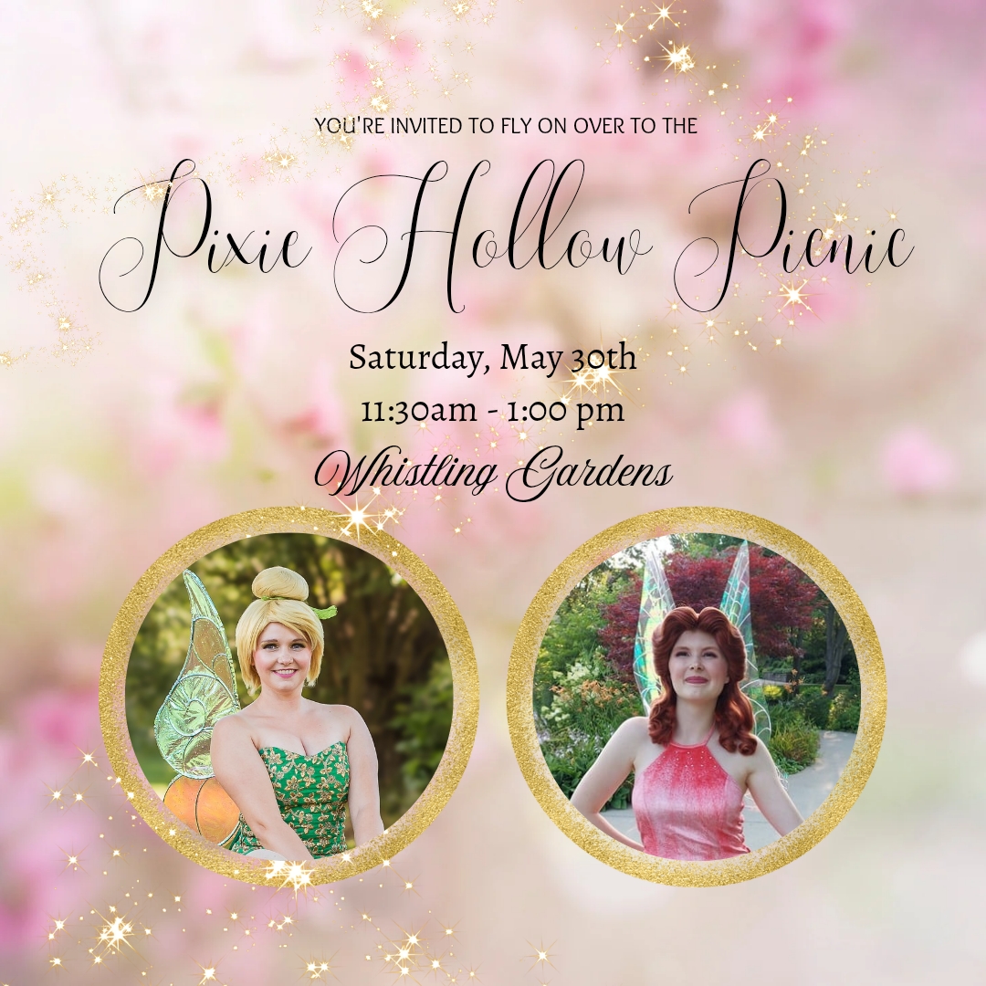 Pixie Hollow Picnic